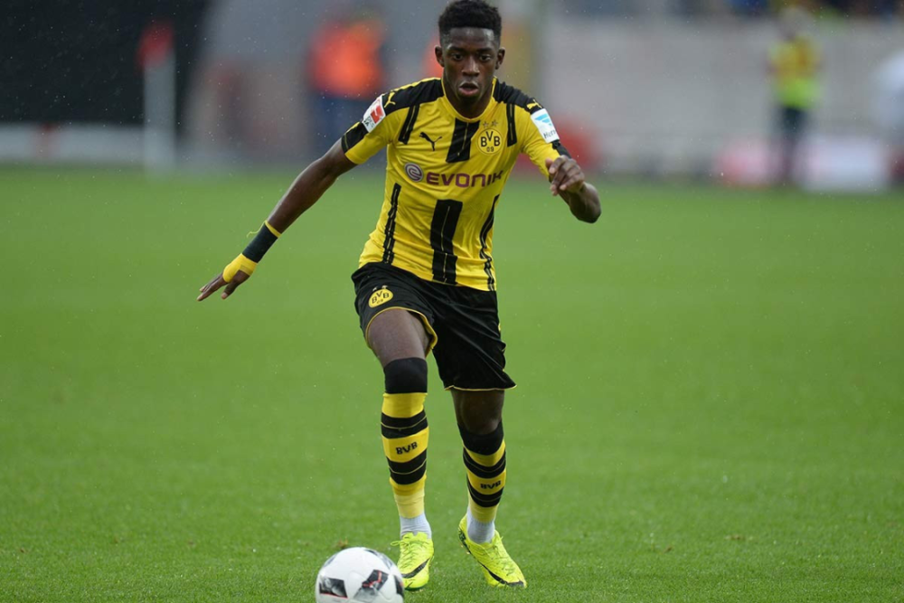 员因早早成 员因早早成