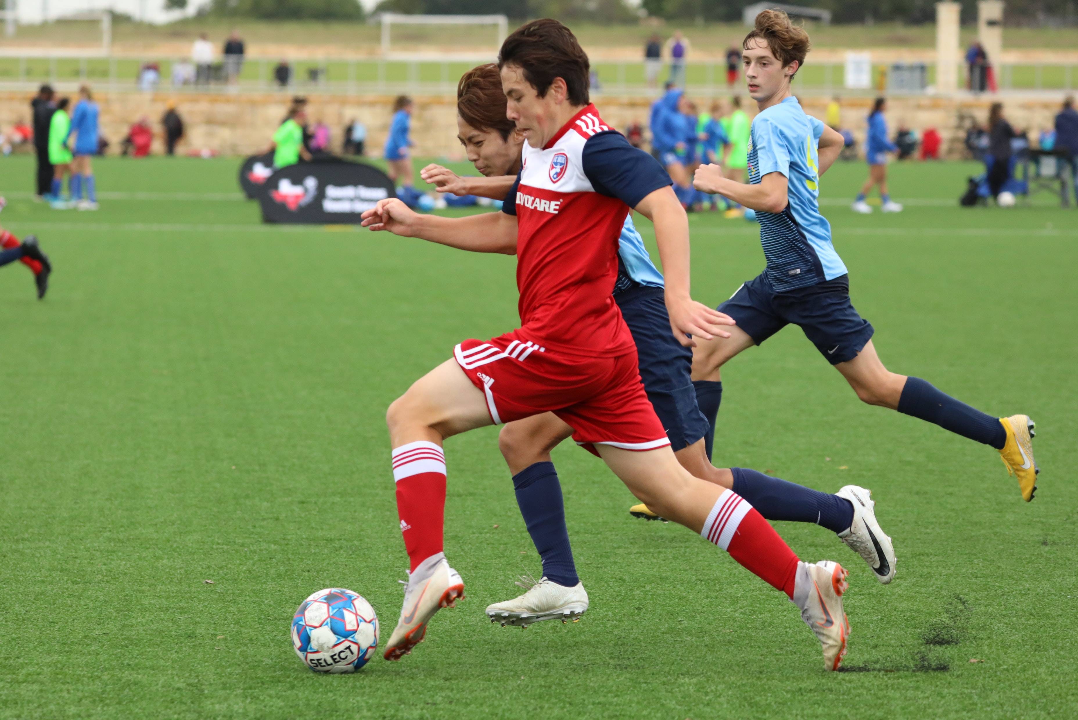 世界拉力锦标赛芬兰车手夺冠